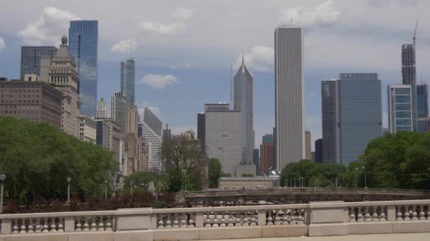 Високі Будівлі Чикаго Центрі Міста Вигляд Грант Парку Chicago Сша — стокове відео