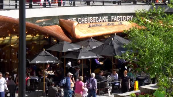 Cheesecake Factory Chicago Chicago Usa Июня 2019 Года — стоковое видео