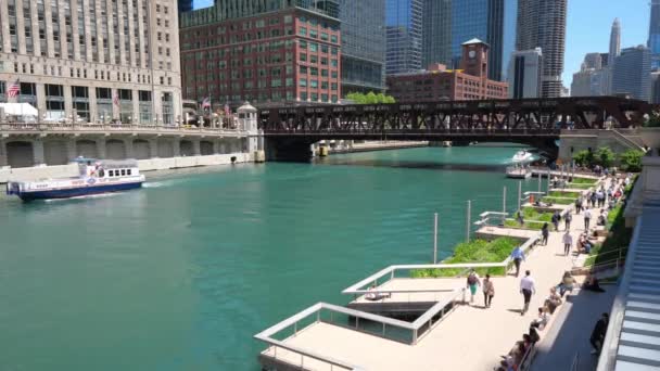 Chicago River Μια Ηλιόλουστη Μέρα Chicago Usa Ιούνιος 2019 — Αρχείο Βίντεο