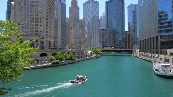 Chicago River Solig Dag Resefotograf — Stockvideo