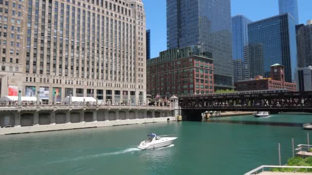 Şikago Nehri Nin Mimarisi Kaş Abd Haziran 2019 — Stok video