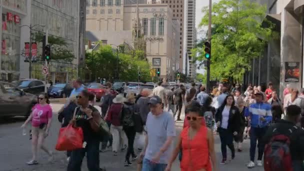 Rušné Michiganské Avenue Chicagu Chicago Usa Června 2019 — Stock video