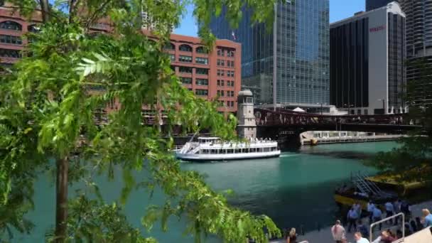 Río Chicago Día Soleado Fotografía Viaje — Vídeo de stock