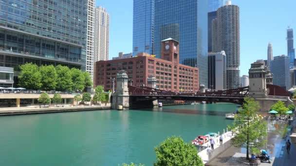 Chicago River Μια Ηλιόλουστη Μέρα Chicago Usa Ιούνιος 2019 — Αρχείο Βίντεο