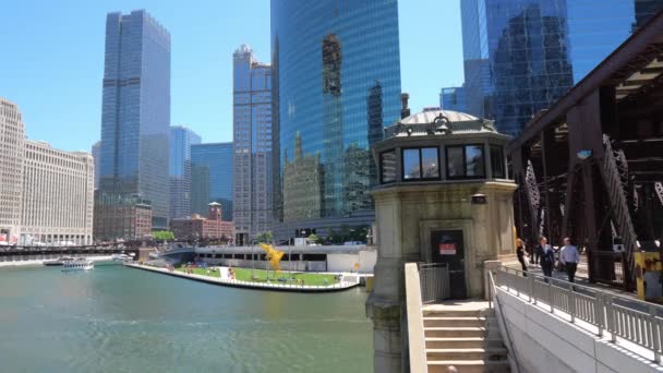 Chicago River Μια Ηλιόλουστη Μέρα Chicago Usa Ιούνιος 2019 — Αρχείο Βίντεο