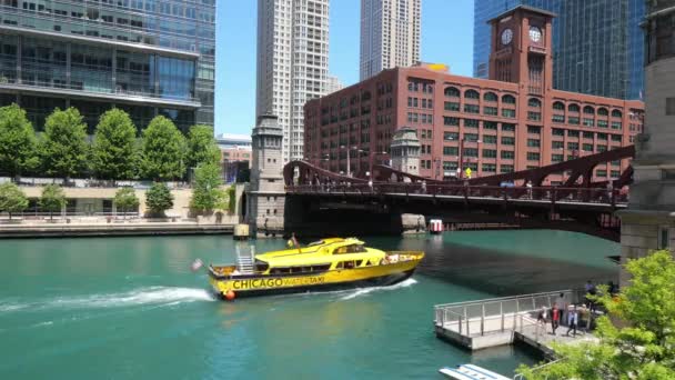 Water Taxi Chicago River Chicago Ηπα Ιουνιου 2019 — Αρχείο Βίντεο