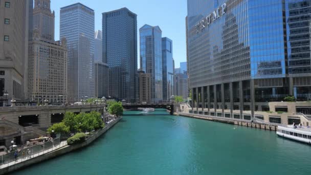 Den Populära Riverside Chicago River — Stockvideo