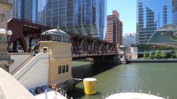 Chicago River Μια Ηλιόλουστη Μέρα Chicago Usa Ιούνιος 2019 — Αρχείο Βίντεο