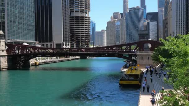 Chicago River Een Zonnige Dag — Stockvideo