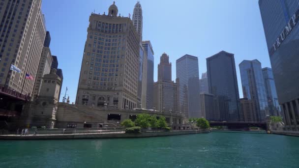 芝加哥河的建筑 美国芝加哥 2019年6月11日 — 图库视频影像