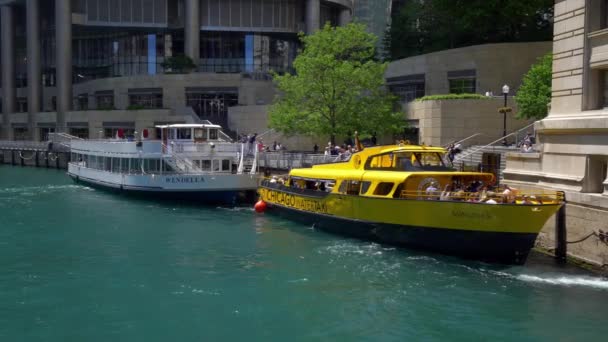 Водное Такси Городе Чикаго Chicago Сша Июня 2019 — стоковое видео