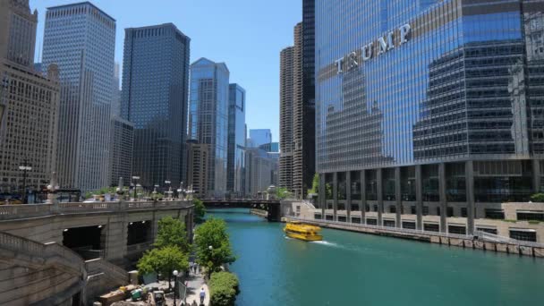Популярный Берег Реки Чикаго Chicago Сша Июня 2019 — стоковое видео