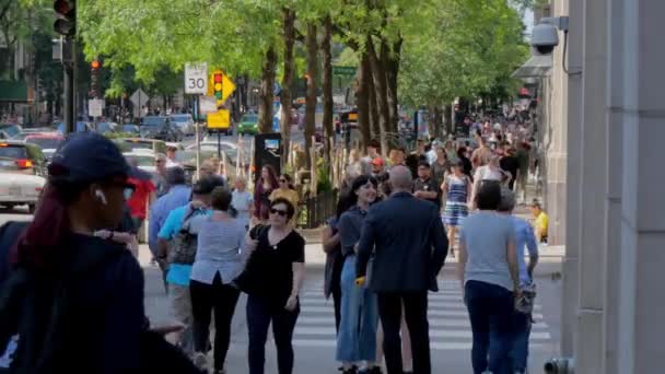 Magnificent Mile Chicago Crowded Place Chicago Usa Czerwiec 2019 — Wideo stockowe