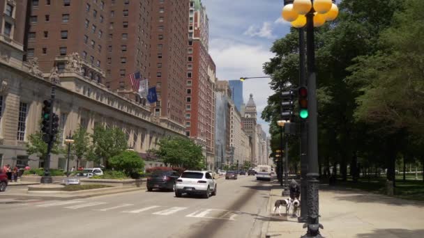 Michigan Avenue Chicago Street Canyon Chicago Сша Iune 2019 — стоковое видео