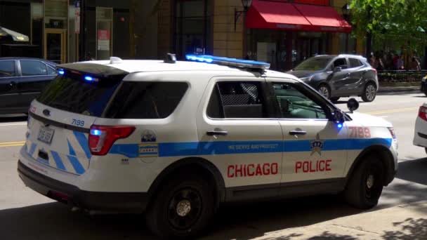 Chicago Police Car Einsatz Chicago Usa Juni 2019 — Stockvideo