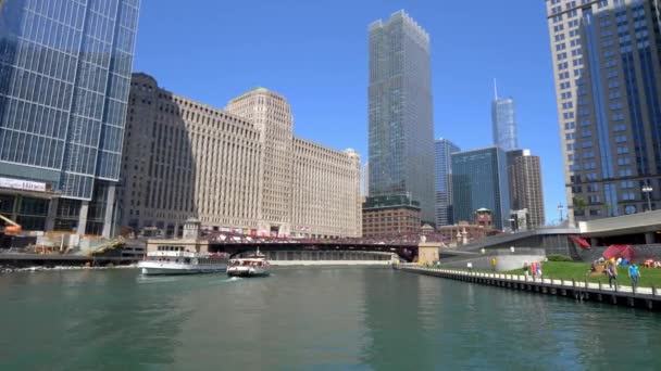 Chicago River Egy Napsütéses Napon Chicago Usa 2019 Június — Stock videók
