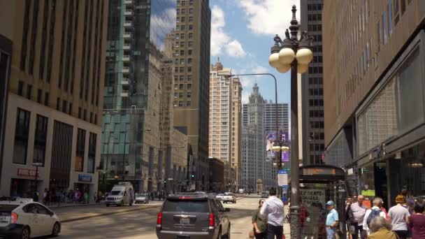 Michigan Avenue Chicago Par Une Journée Ensoleillée Chicago États Unis — Video