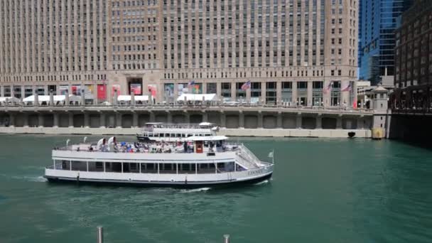 Chicago River Einem Sonnigen Tag Chicago Usa Juni 2019 — Stockvideo