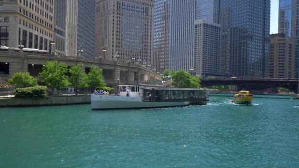 Chicago River Μια Ηλιόλουστη Μέρα Chicago Usa Ιούνιος 2019 — Αρχείο Βίντεο