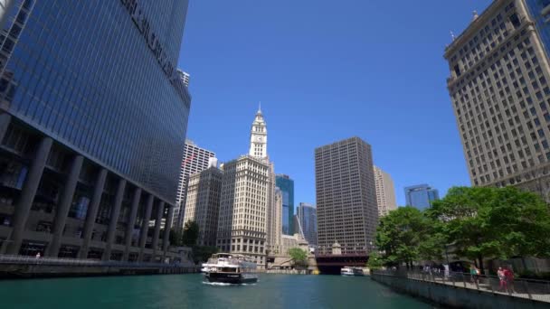 Chicago River Egy Napsütéses Nap Utazás Fotózás — Stock videók