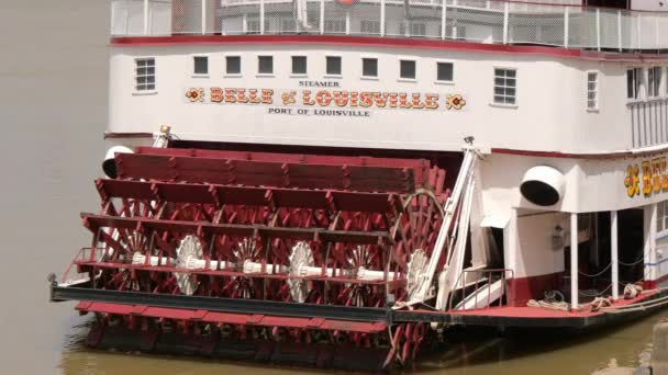 Belle Louisville Paddel Hjul Ångbåt Louisville Kentucky Juni 2019 — Stockvideo