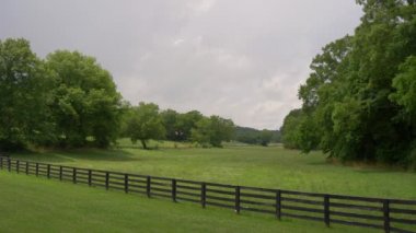 Tennessee'deki yeşil tarım arazileri - Leipers Fork, Abd - 18 Haziran 2019