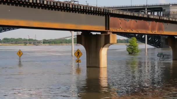 Inundación Marea Alta Del Río Misisipi San Luis Saint Louis — Vídeo de stock