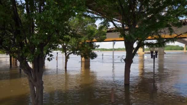 Översvämning Louis High Tide Mississippi Saint Louis Missouri Juni 2019 — Stockvideo