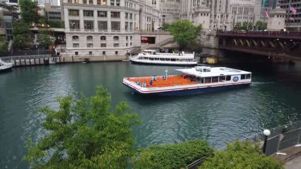 Sightseeingkryssning Chicago River Chicago Illinois Juni 2019 — Stockvideo