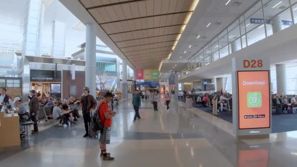 Abflugsteige Flughafen Dallas Fort Worth Dallas Texas Juni 2019 — Stockvideo
