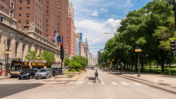 Widok Ulicy Michigan Avenue Grant Park Chicago Chicago Illinois Czerwca — Zdjęcie stockowe