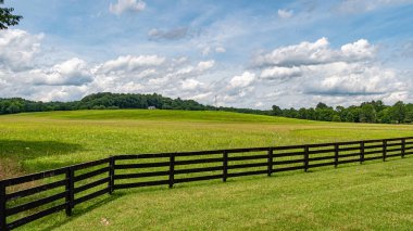 Tennessee'deki Leipers Fork'ta Çiftlik - Leipers Fork, Tennessee - 18 Haziran 2019