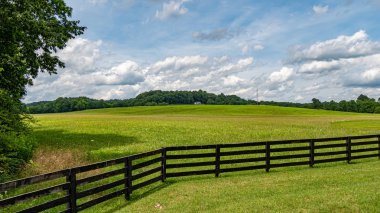 Tennessee Leipers Fork çiftlik - seyahat fotoğrafçılığı