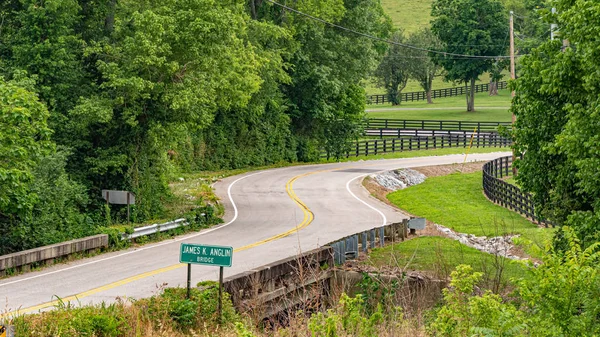 Pohled Uliční Větev Tennessee Leipers Fork Tennessee Červen 2019 — Stock fotografie