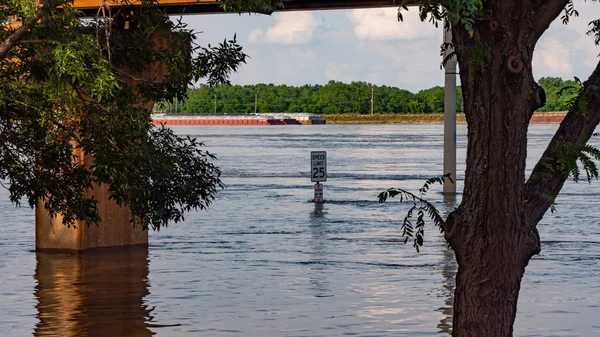 High tide flood of Mississippi River in Saint Louis - SAINT LOUIS. USA - JUNE 19, 2019 — Stock Photo, Image