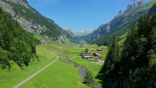 スイスのアルプス スイスの風景の上を飛行 — ストック動画