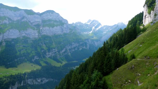 Paisagem Pitoresca Típica Dos Alpes Suíços Suíça — Vídeo de Stock