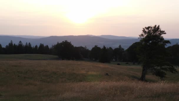 Prachtige Landerijen Zwitserse Alpen Verbazingwekkend Zwitserland — Stockvideo