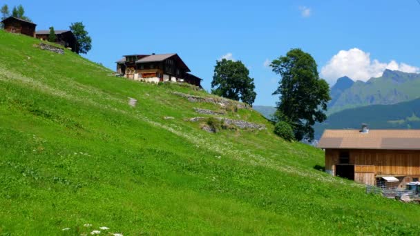 Beautiful Village Mountains Swiss Alps Gimmelwald Switzerland — Stockvideo