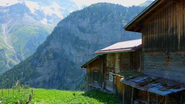 Типові Швейцарські Котеджі Комори Альпах Швейцарії Альпи Швейцарії Швейцарія Липня — стокове відео