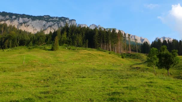 瑞士阿尔卑斯山典型的风景如画 — 图库视频影像