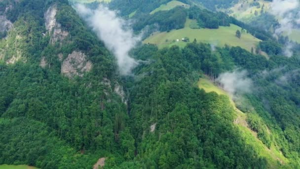 Wonderful Nature Switzerland Swiss Alps — Stock Video