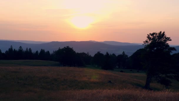 Beautiful Farmlands Swiss Alps Amazing Switzerland — Stock Video