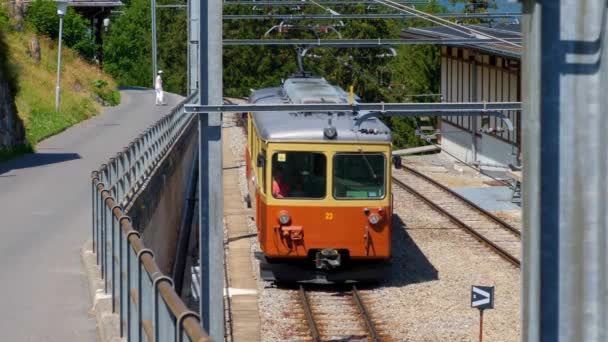 スイスアルプスの山に位置するムルレン駅 アルプスのスイス スイス 2019年7月20日 — ストック動画