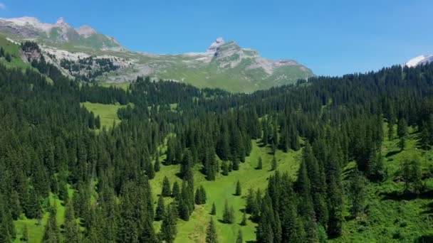 Widok Lotu Ptaka Alpy Szwajcarskie Piękna Szwajcaria Góry — Wideo stockowe