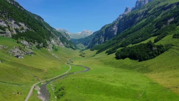 Voo Sobre Paisagem Suíça Suíça Cima — Vídeo de Stock