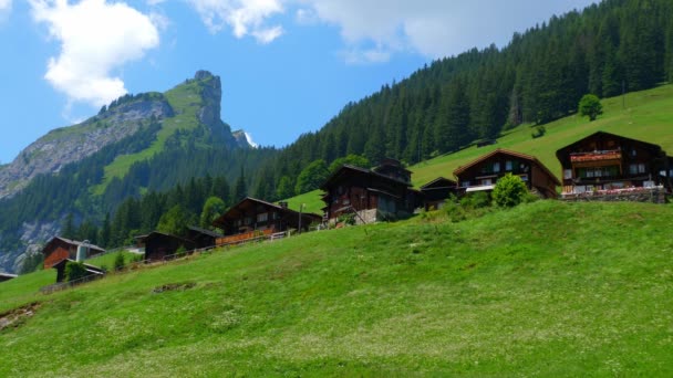 Typiskt Pittoreskt Landskap Schweiziska Alperna Schweiz — Stockvideo
