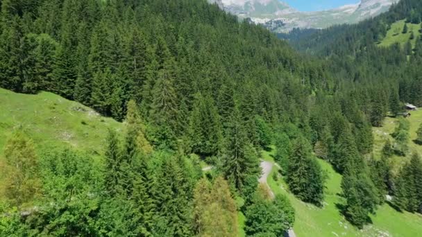 Prachtige Natuur Van Zwitserland Zwitserse Alpen Van Boven — Stockvideo