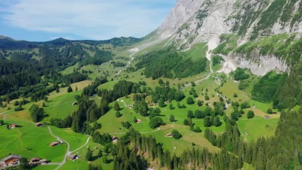 Alpy Szwajcarskie Lot Nad Szwajcarskim Krajobrazem — Wideo stockowe