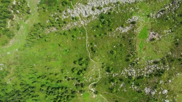 Vuelo Sobre Paisaje Suizo Suiza Desde Arriba — Vídeos de Stock